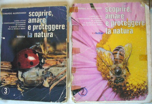Scuole medie lotto - (prl),