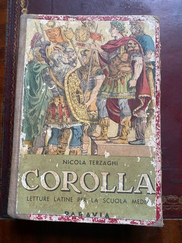 Corolla nicola terzaghi - nicola,