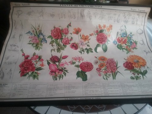 Poster vintage scuola - vintage,