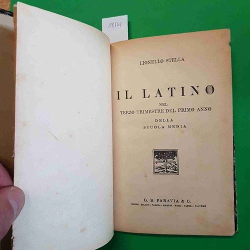 Latino nel terzo trimestre - nel,