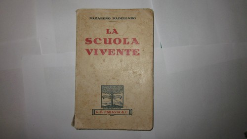 Nazareno padellaro scuola - nazareno,