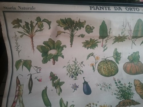 Poster scuola vintage - scuola,